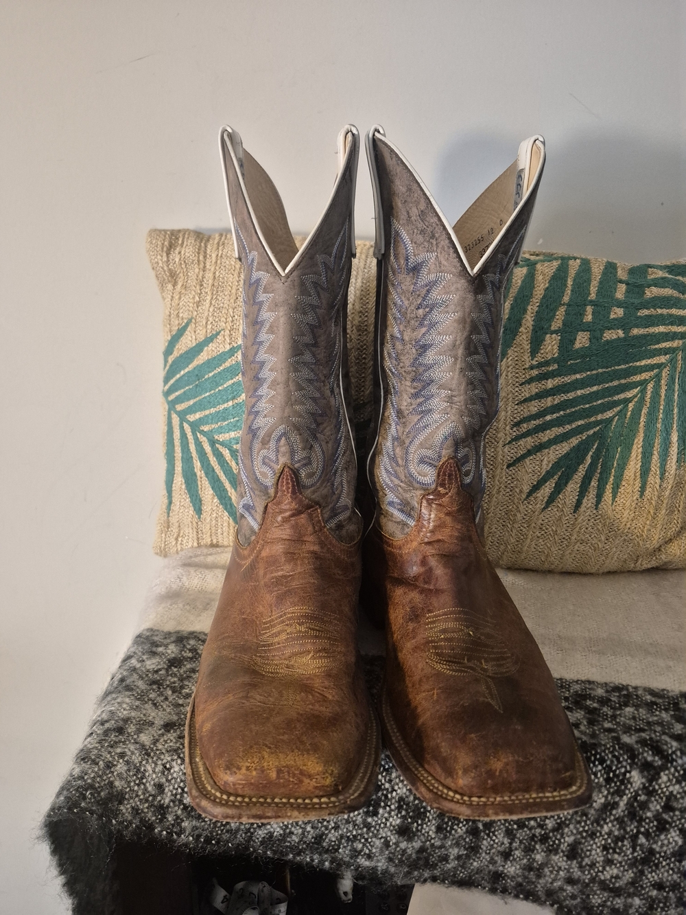 Anderson Bean Saddle Elk Butt Chupacabra Top Western Boots  3370M Men's Size 12D